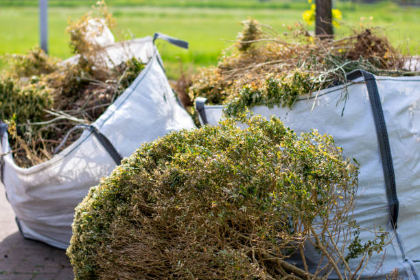 Best Hoarding Cleanup  in Itta Bena, MS